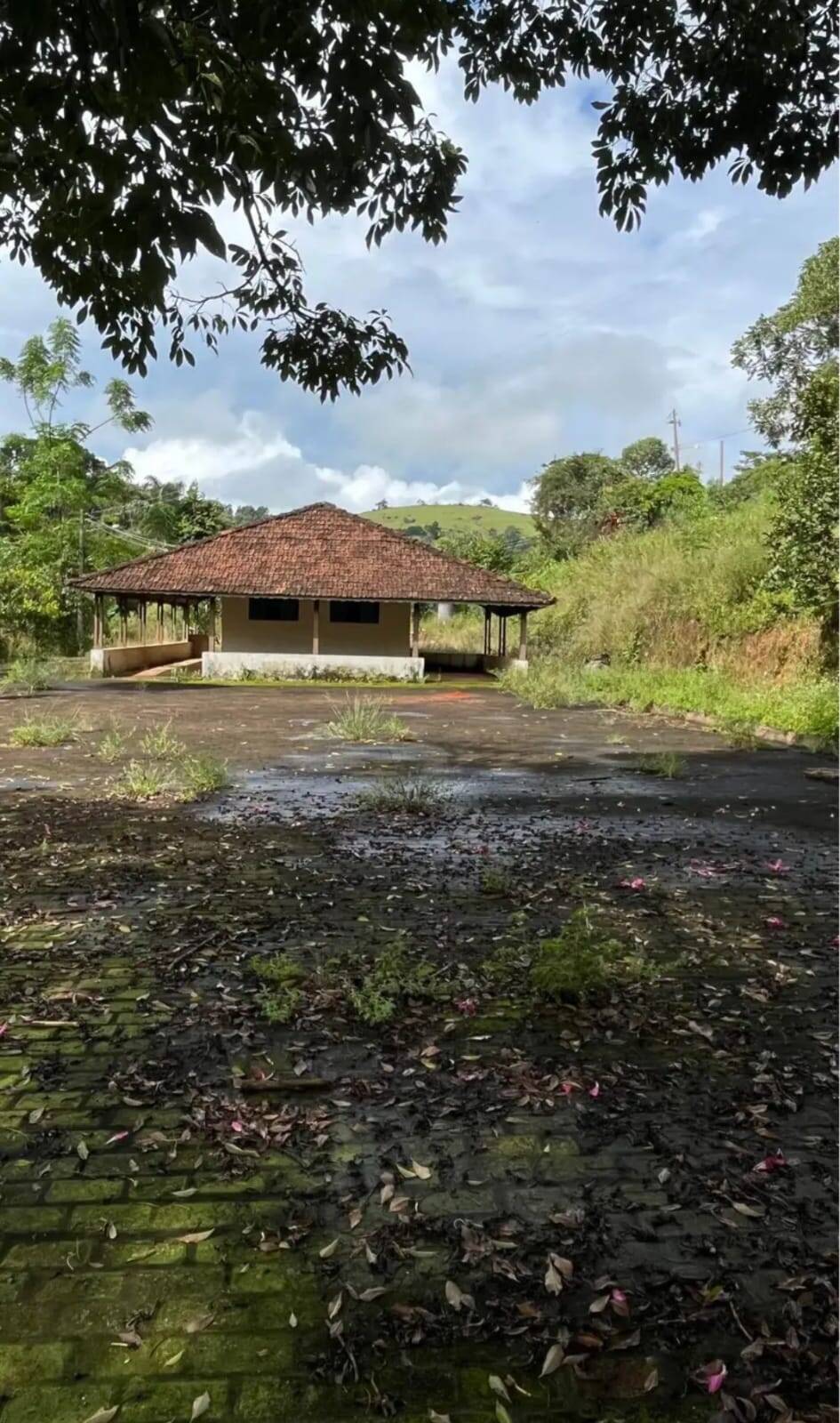 #52 - Chácara para Venda em Pedra Bela - SP