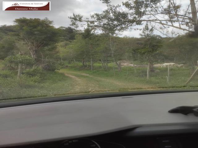 #39 - Sítio para Venda em Bragança Paulista - SP - 3