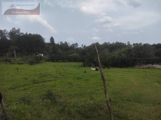 Sítio para Venda em Bragança Paulista - 5