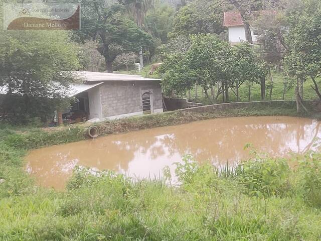 #39 - Sítio para Venda em Bragança Paulista - SP - 2