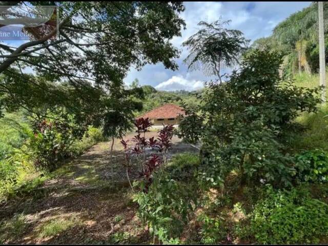 Chácara para Venda em Pedra Bela - 4