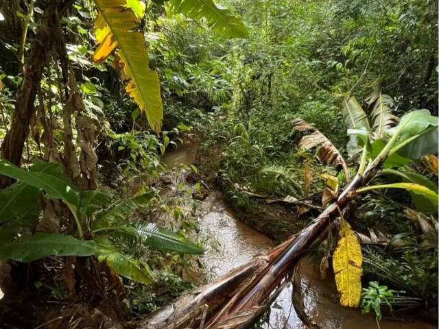 #52 - Chácara para Venda em Pedra Bela - SP - 2