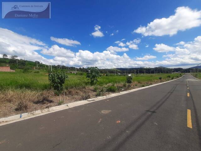 Terreno para Venda em Amparo - 4