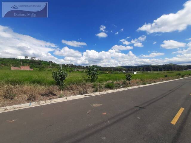 Terreno para Venda em Amparo - 5