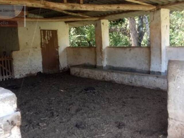 #350 - Sítio para Venda em Pedra Bela - SP - 3